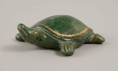 Green turtle